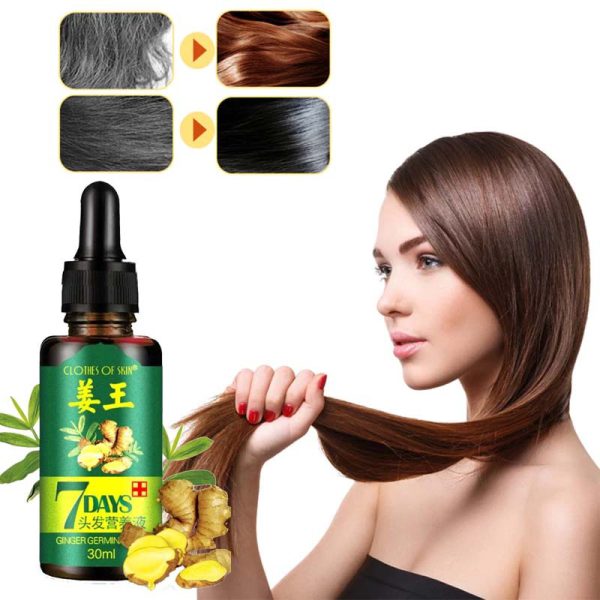 7 Day Ginger Germinal Oil