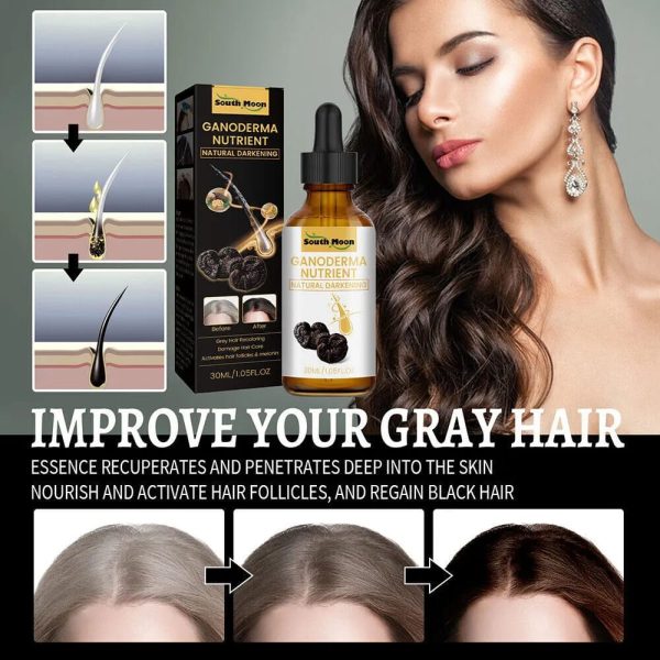 Anti-greying Ganoderma Hair Serum